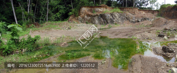 濕闊里在哥斯達(dá)黎加