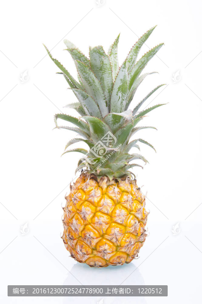 Fresh,Juicy,Pineapple孤立
