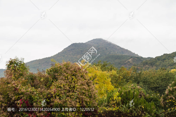 希臘高山巖石