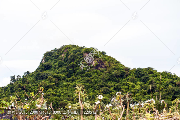 泰式花園