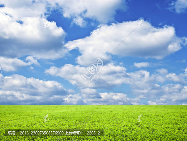美麗的綠野和藍天