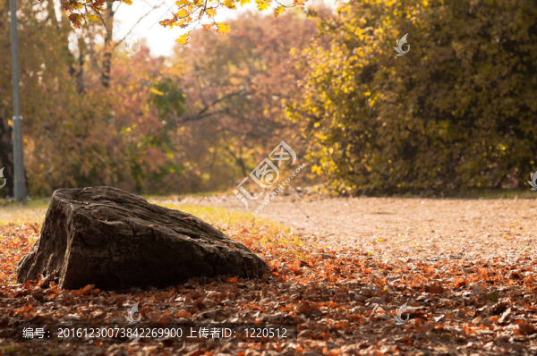 公園場(chǎng)景