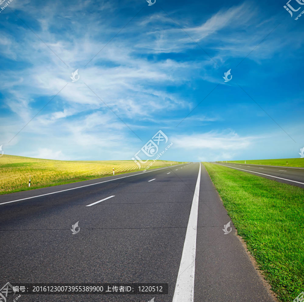 綠地與道路