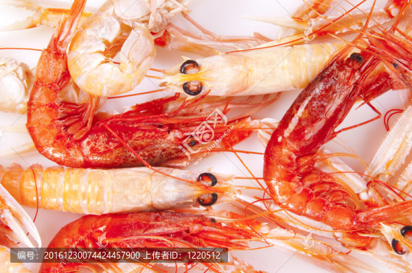 紅鮮橙