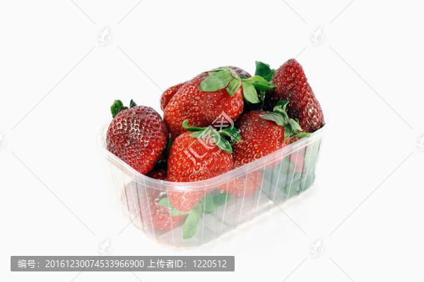草莓白