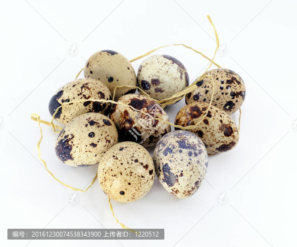 鵪鶉蛋