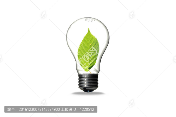 白背景葉；綠色生態(tài)概念