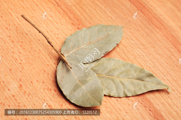 月桂樹(shù)葉