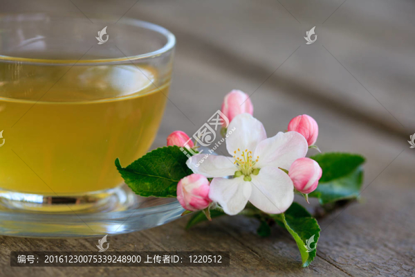 杯杯綠茶