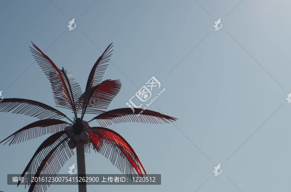 棕櫚樹