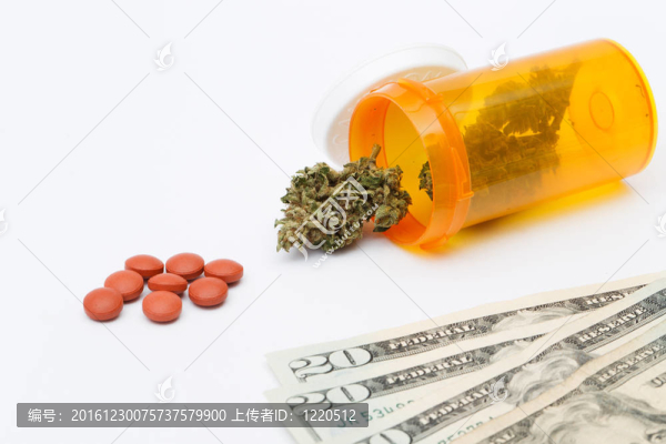 醫(yī)用大麻