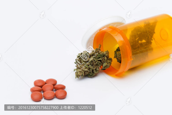 醫(yī)用大麻