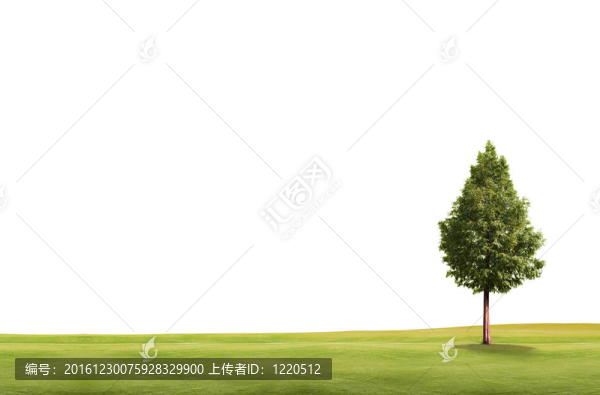 白色背景下樹木隔離的田野景觀