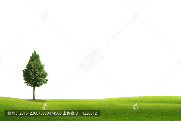 白色背景下樹木隔離的田野景觀