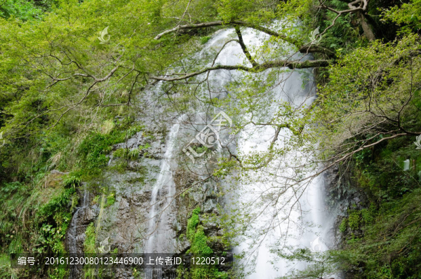 在日本美濃準(zhǔn)國家公園瀑布