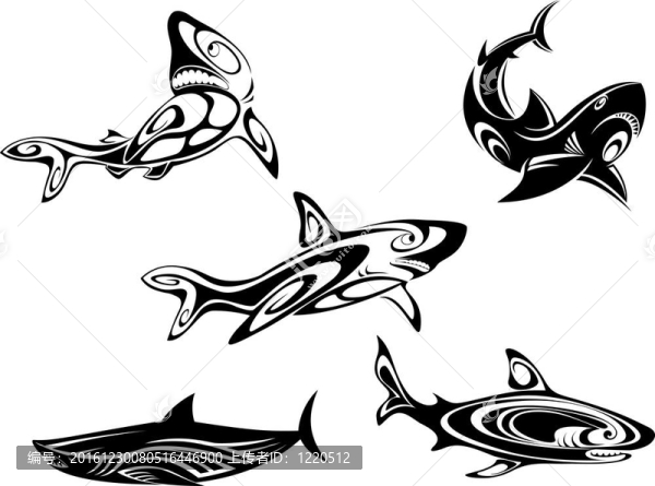 鯊魚紋身