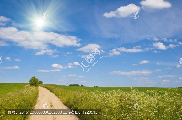 美麗的夏日風(fēng)景