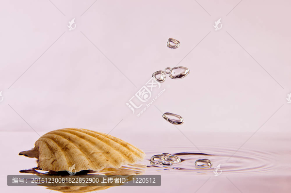 泡殼