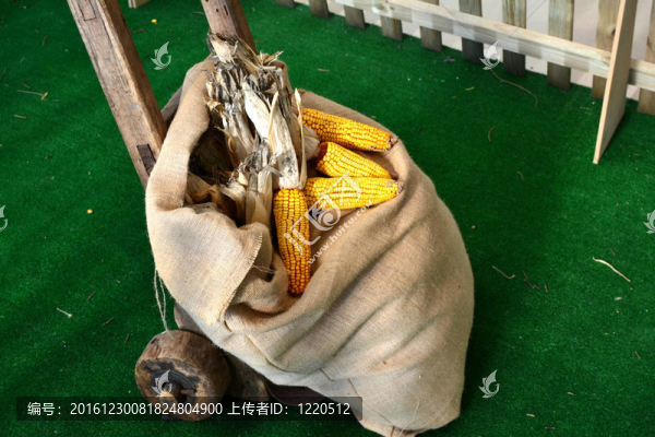 袋玉米