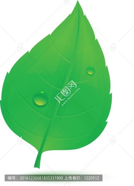 春綠水滴