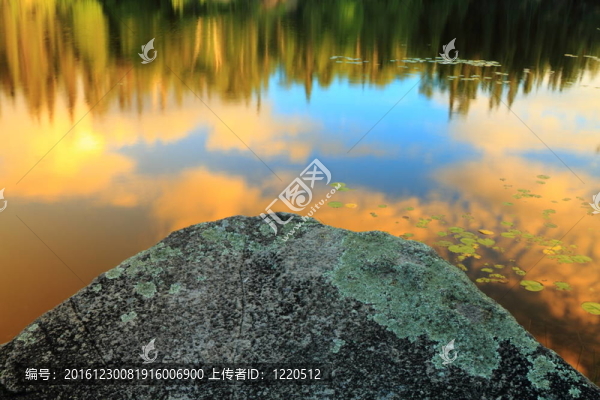 湖濱片段