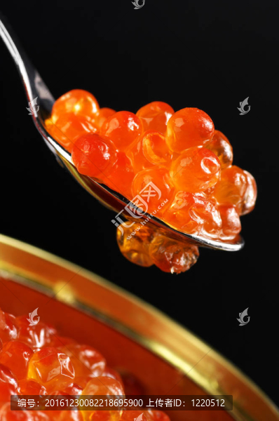 鮭魚魚子醬的特寫