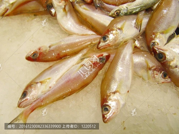 可憐的COD