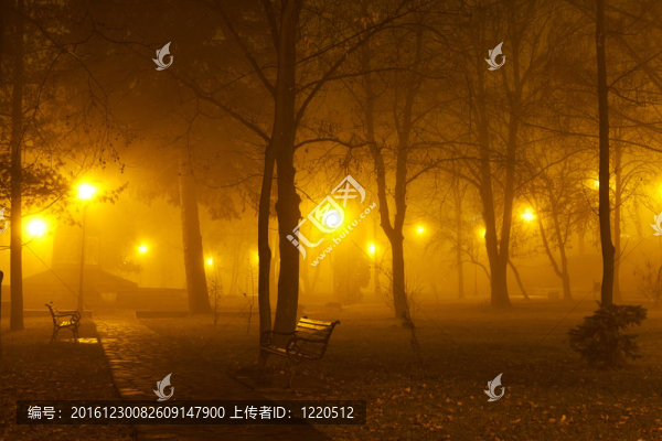 公園里的霧