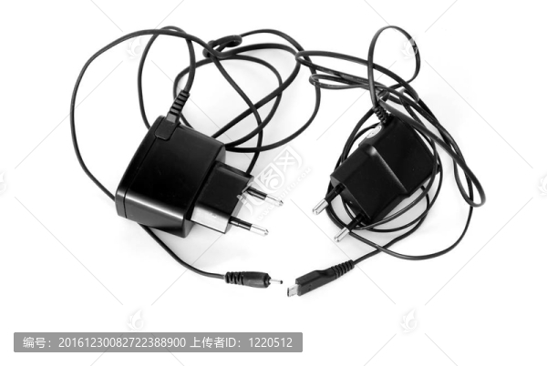兩種不同類型插頭的電池充電器