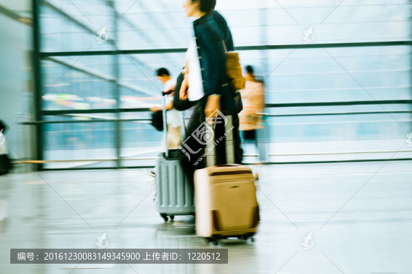 運動旅行