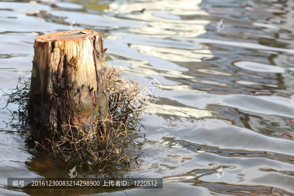 曼谷特大洪水。