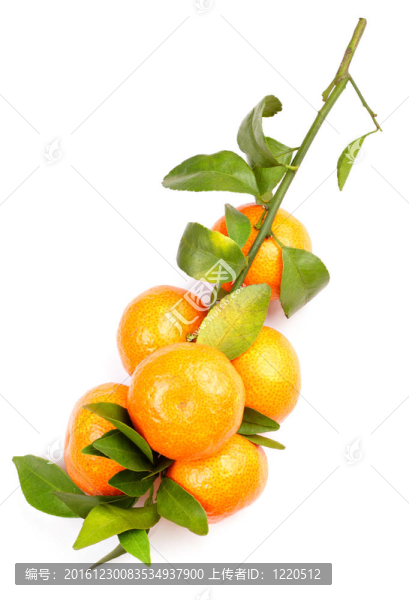 普通話對(duì)白