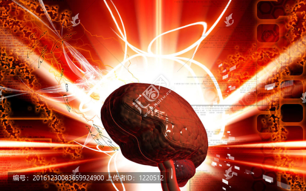 腦