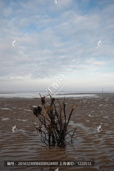 瓦登海；天空和云彩