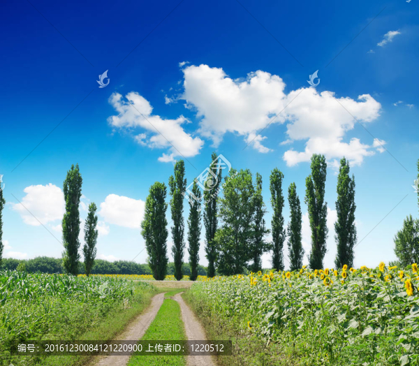 深藍色渾濁天空下的鄉(xiāng)村景觀