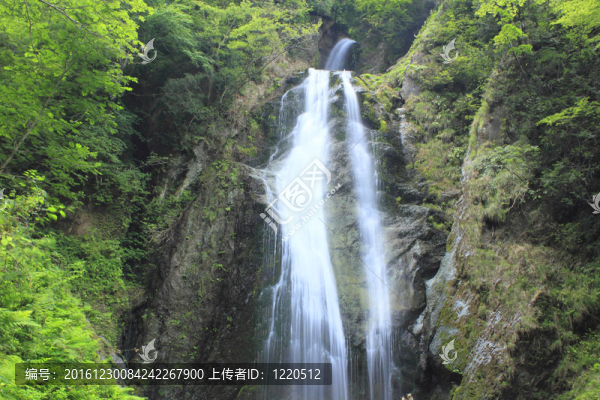 在山谷dakikae瀑布Mikaeri