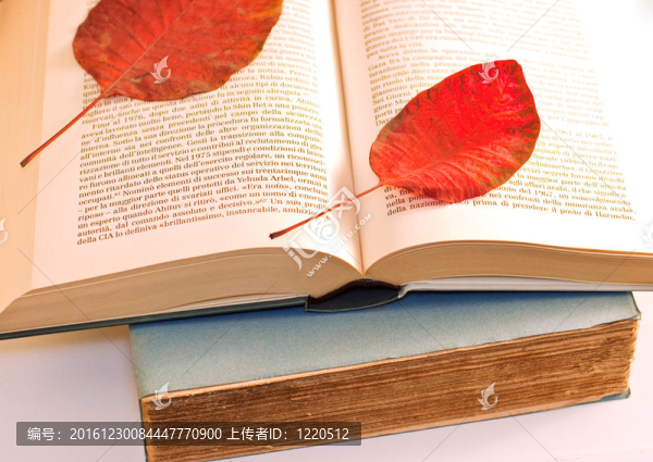 打開(kāi)書(shū)上的干葉子