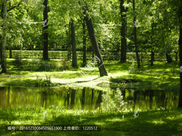 可愛的夏日花園