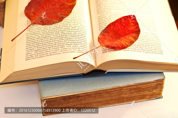 打開(kāi)書(shū)上的干葉子