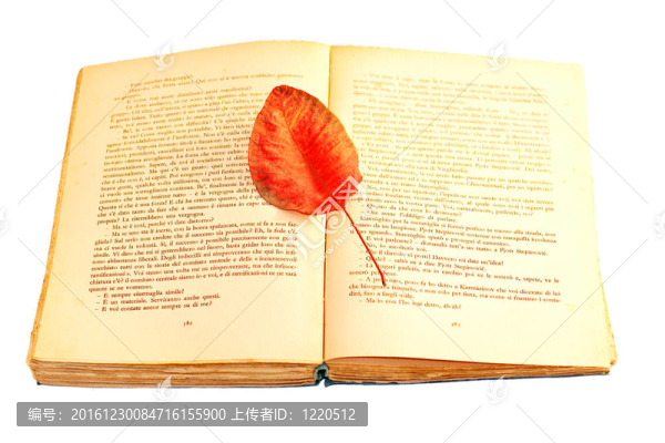 打開書上的干葉子