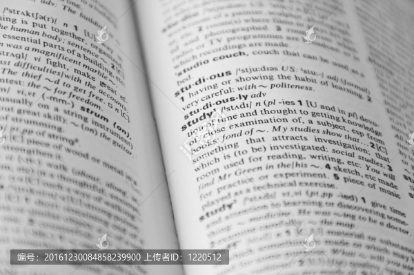 帶焦點詞的字典頁