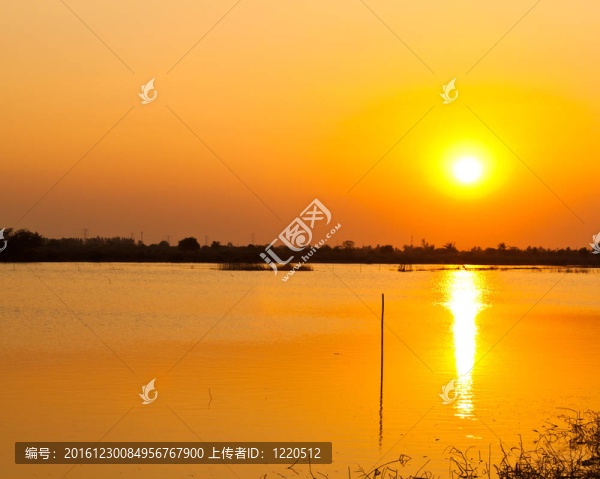 美麗的夕陽紅