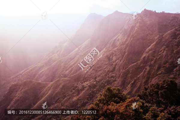 山