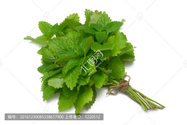 草本系列檸檬膏