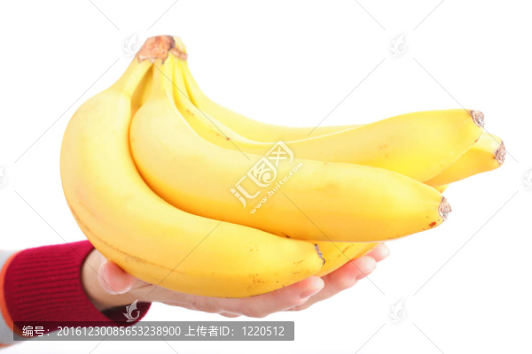 白色背景上的一串香蕉
