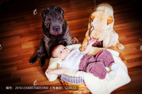 帶狗的嬰兒