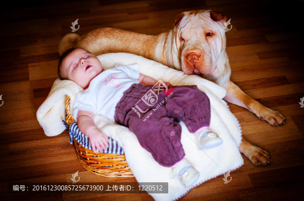 帶狗的嬰兒