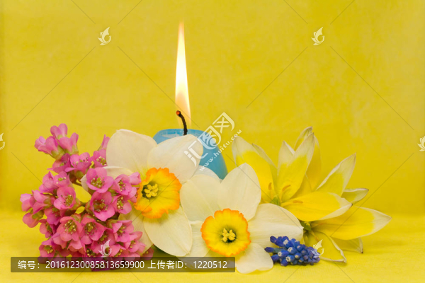 藍(lán)色復(fù)活節(jié)罐與水仙；白菜和郁金香