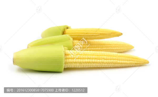 小玉米分離