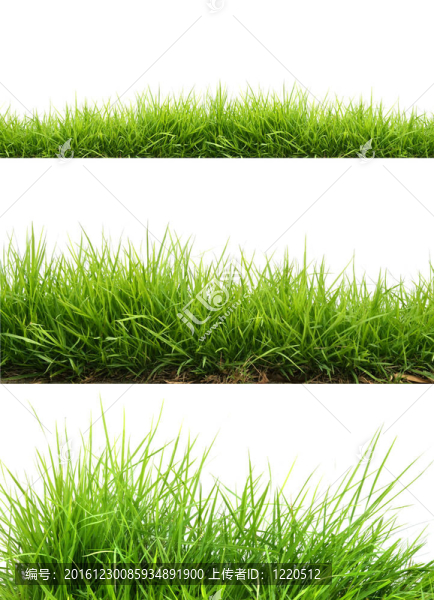清新春綠草